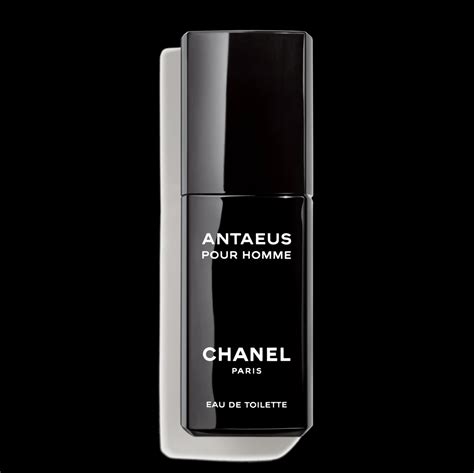 chanel antaeus 100 ml spray|Chanel antaeus boots.